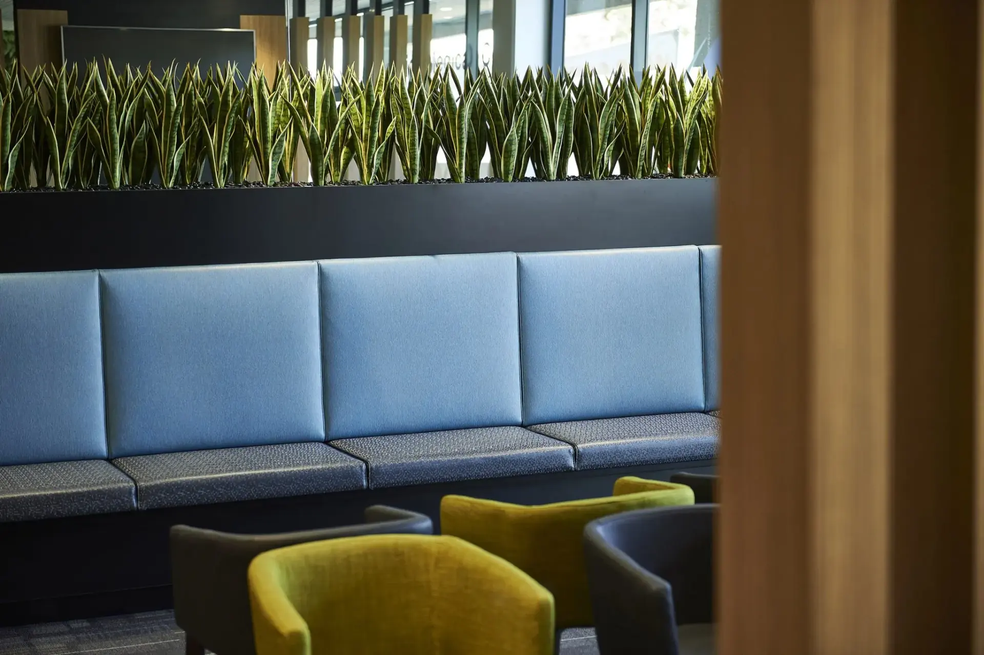 Office breakout space with blue lounge seating